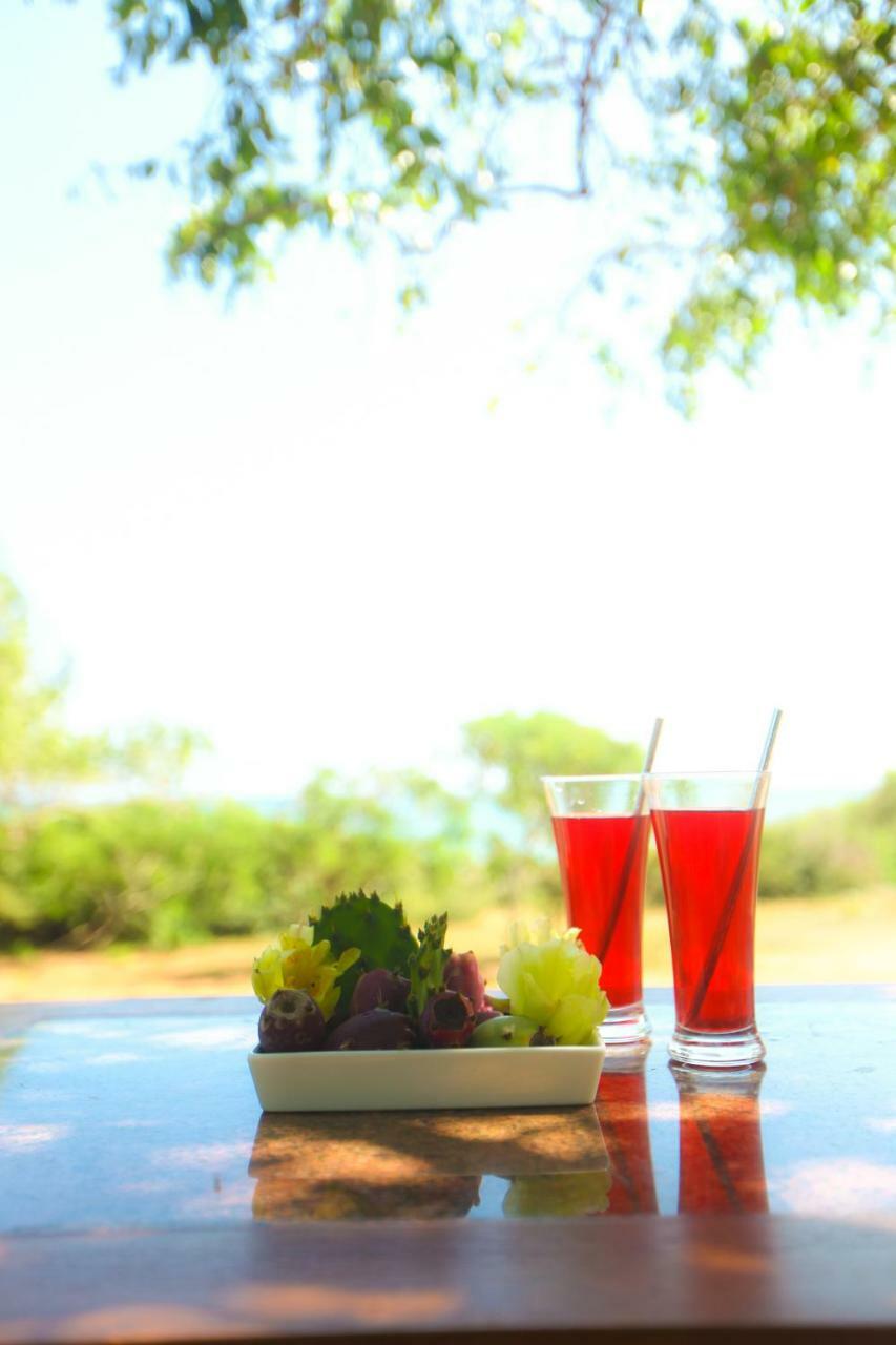 Nil Sisila Beach Resort ヤーラ エクステリア 写真